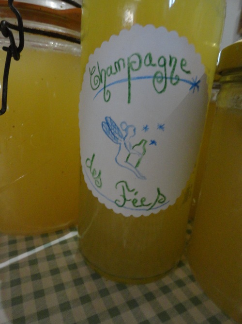 "Champagne des fées" (ou limonade aux fleurs de sureau) ;)