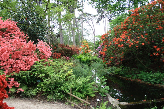 Nouvelle promenade au parc floral