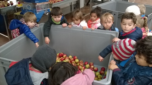 Sortie aux jardins fruitiers de Laquenexy