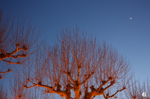 Vénus et Mars en hiver