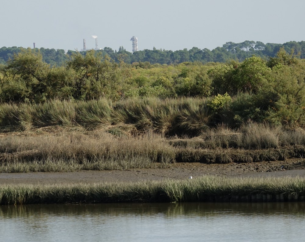 Balade au Domaine de Certes et Graveyron, à Audenge... 