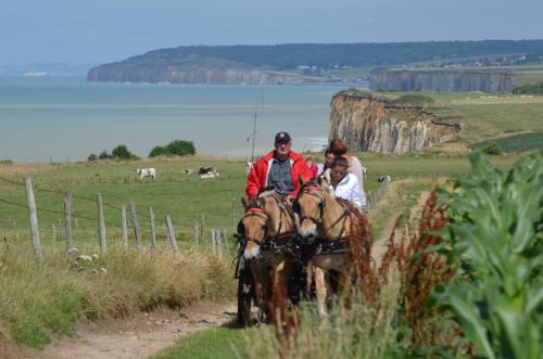 15 Juillet - Témoignage - La seconde 1/2 étape - Quiberville => Veules