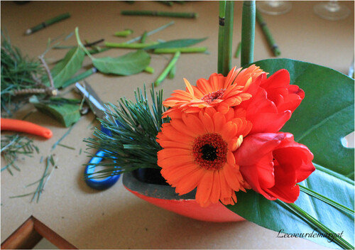 Art floral / Rouge et orange