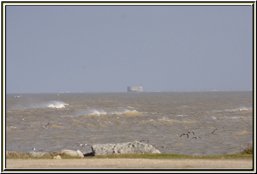 Port Douhet et la plage de Foulerot     île d'Oléron