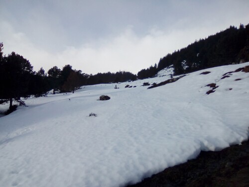 Cabane neige (1 nuit) : cabane de la Lladure par Caselles (Capcir) - 66