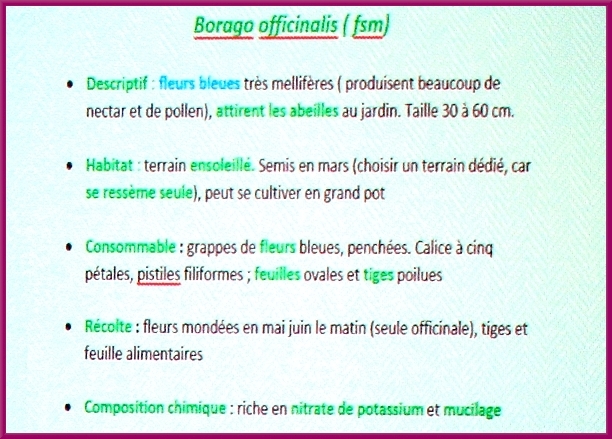 Gilles Seytre a présenté  au club des Anciens de Nod sur Seine, une étude fort intéressante sur les propriétés de plantes que nous pouvons cultiver dans nos jardins