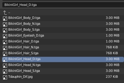 Cliquer sur BikiniGirl_Head_D.tga