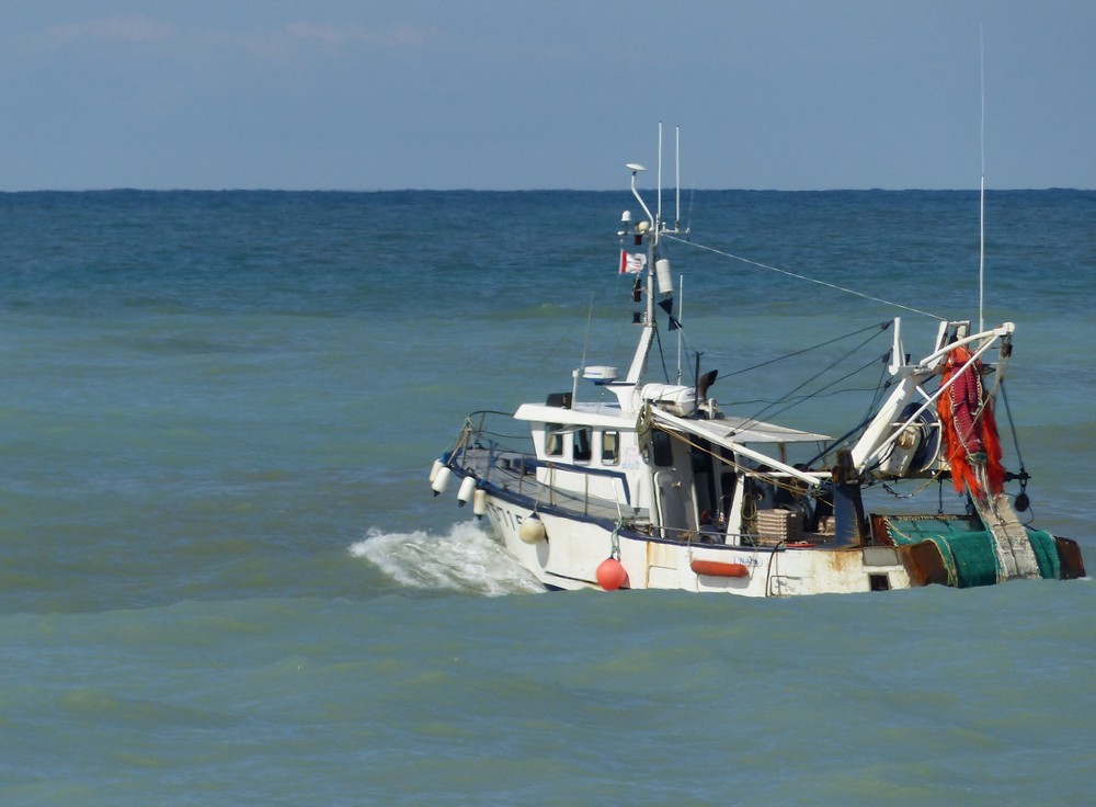 Une journée au bord de la mer 