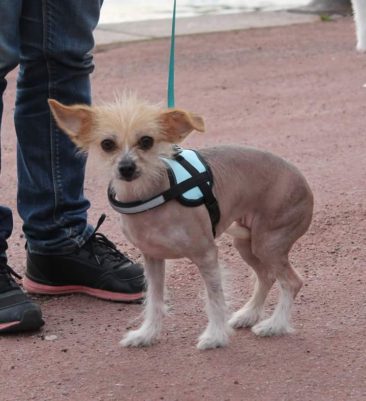 rencontre lexy