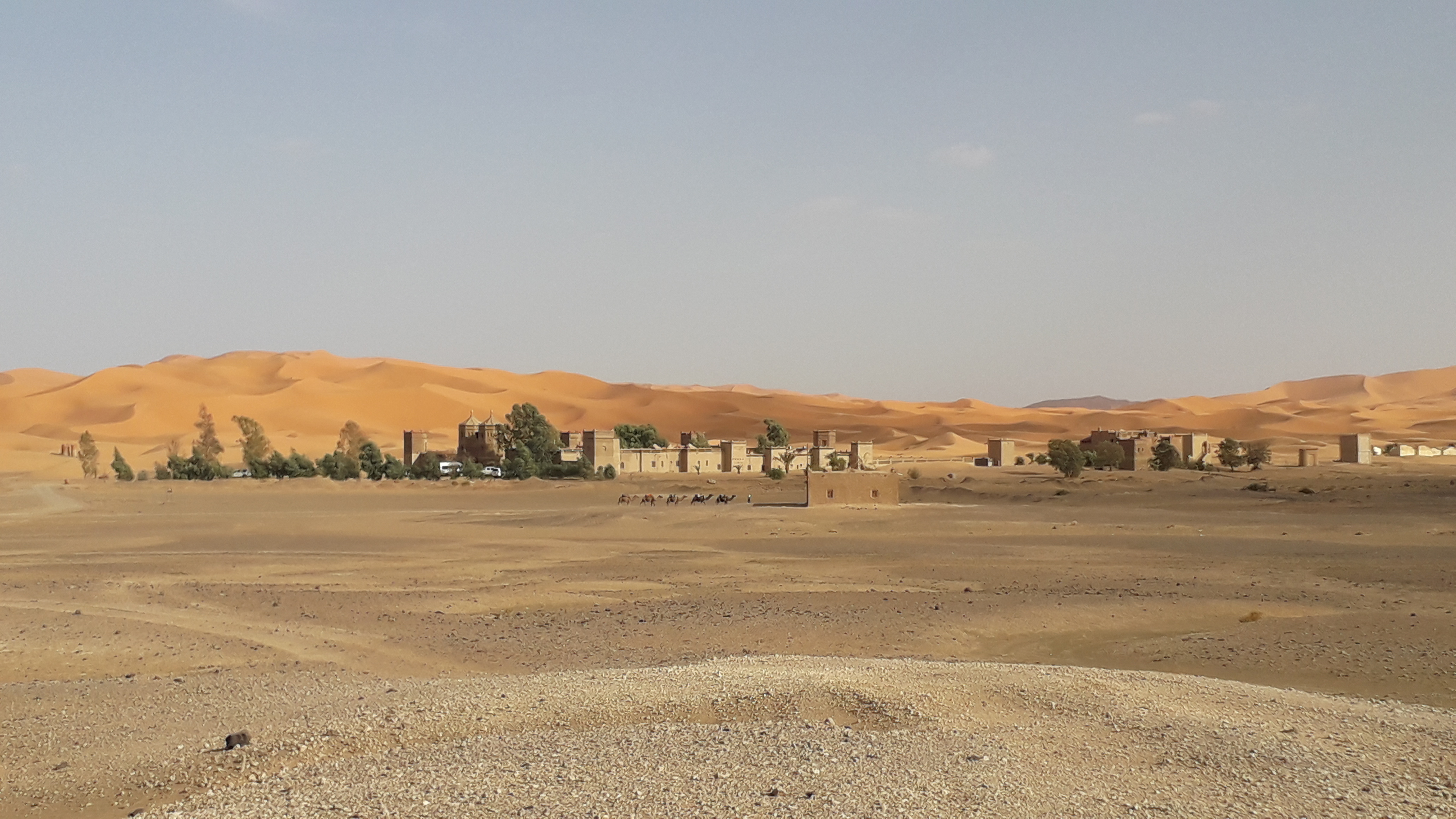Arrivée à l'erg Chebbi