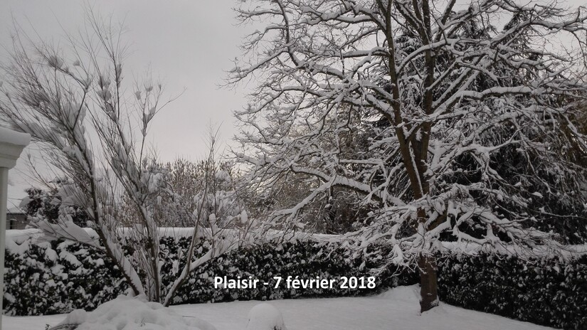 Plaisir sous la neige ce matin....