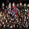 Ann Atkin - Largest Collection Of Gnomes.jpg