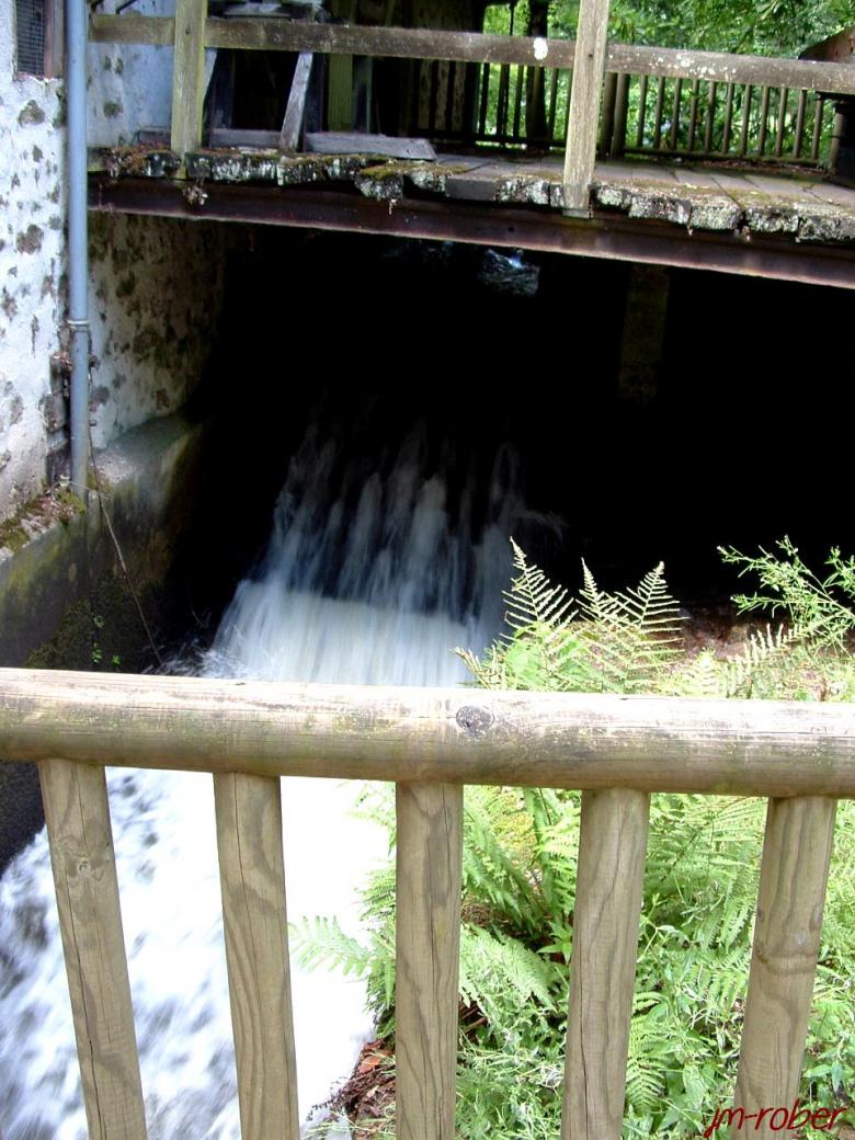 Limoges et ses parcs : Un détour vers le Parc du Moulin Pinard  