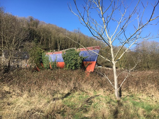 Peut être une image de nature et arbre