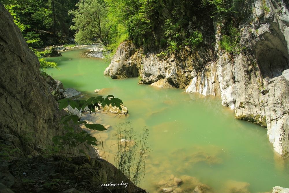 Gorges de la Jogne