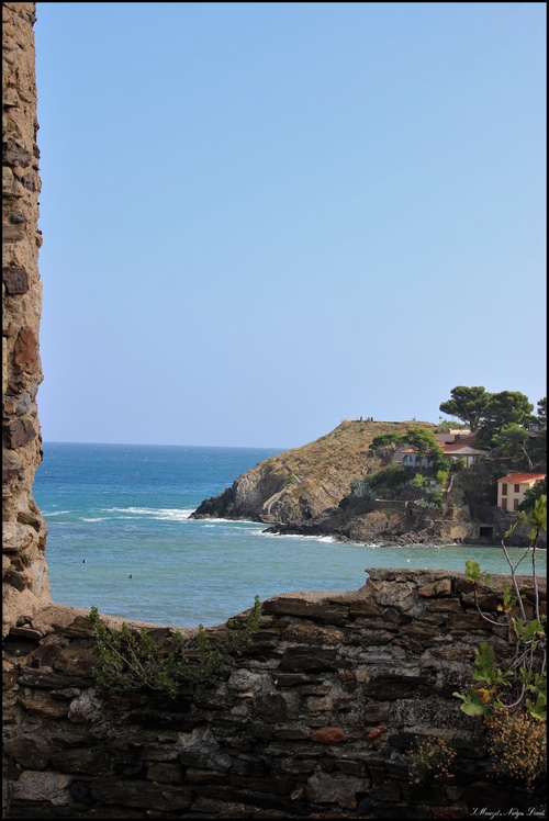 Collioure, vue par Moi