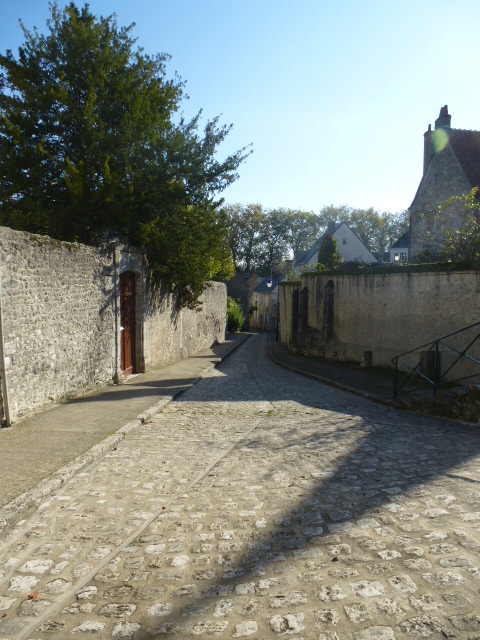 COULEURS D'AUTOMNE A BEAUGENCY