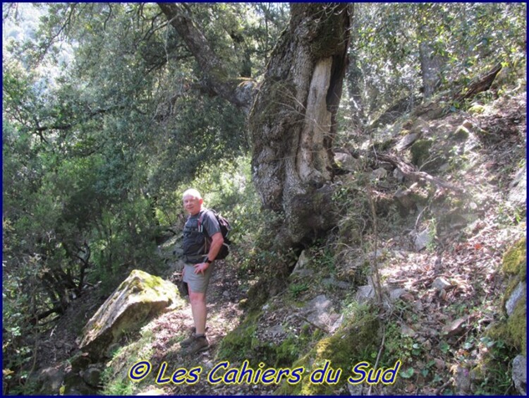 Le Bocca de Eltru, vallée du Fango, Corse.