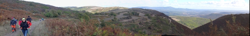 du Col de la Baraque au ramping épineux