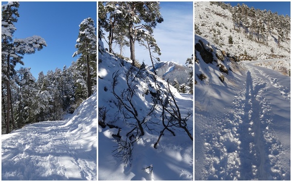 La montagne en hiver