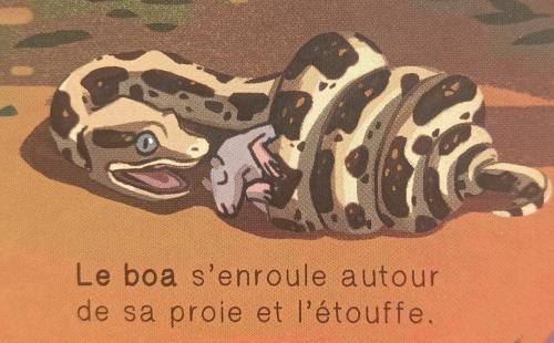 photos 7/11 serpents livres 