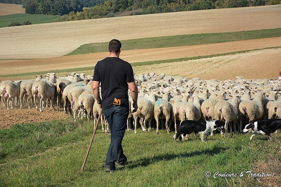 A travers la campagne 