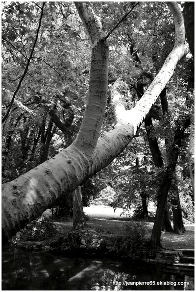 2013.05.25 Parc de la Poya (Isère)