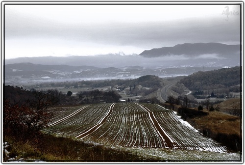 Entre GRENETTE et TARTAIGUILLE