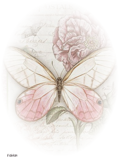 tubes ambiances déco 