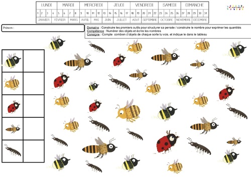 FICHIER A THEME Les insectes