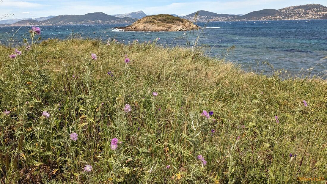 la presqu'île de Giens - 7