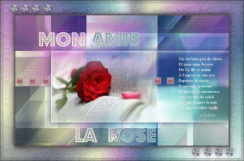 Mon Amie la Rose