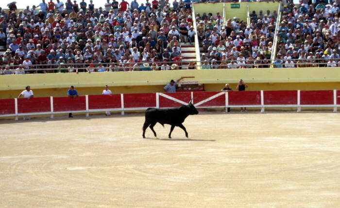 couleur Camargue