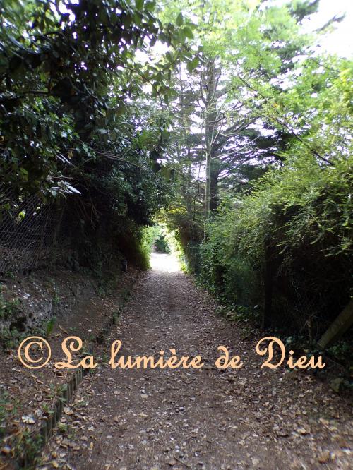 Fécamp, la chapelle Notre-Dame du Salut