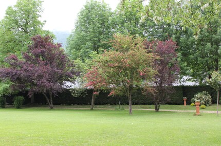 Le jardin de ma mère