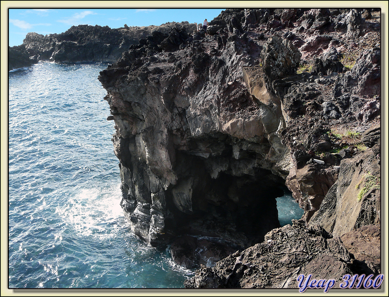 Falaise de lave - Vers Ana Kai Tangata - Rapa Nui (île de Pâques) - Chili