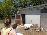 Classe découverte "Micropolis" en Aveyron - juin 2012