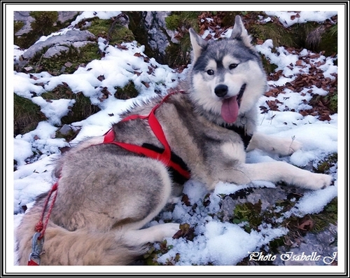 Maya (5,5 ans)