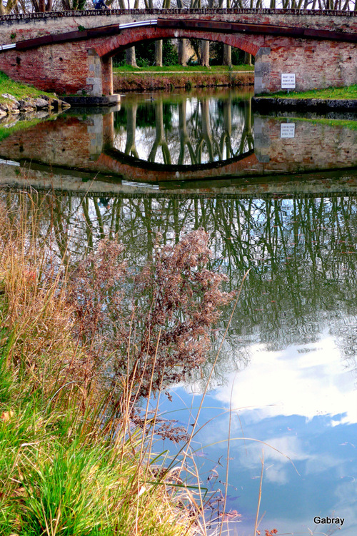 Les reflets dans l’eau du Canal du Midi