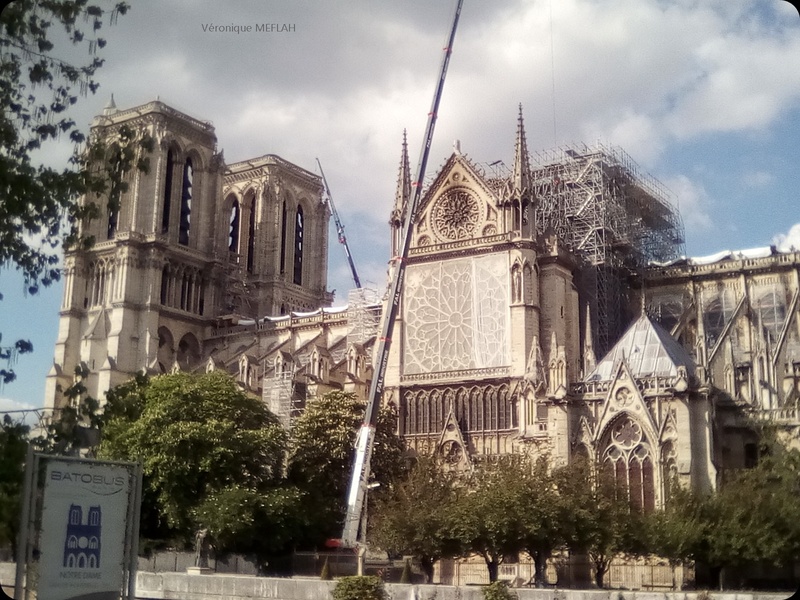 Notre-Dame de Paris : Quelques clichés ... 
