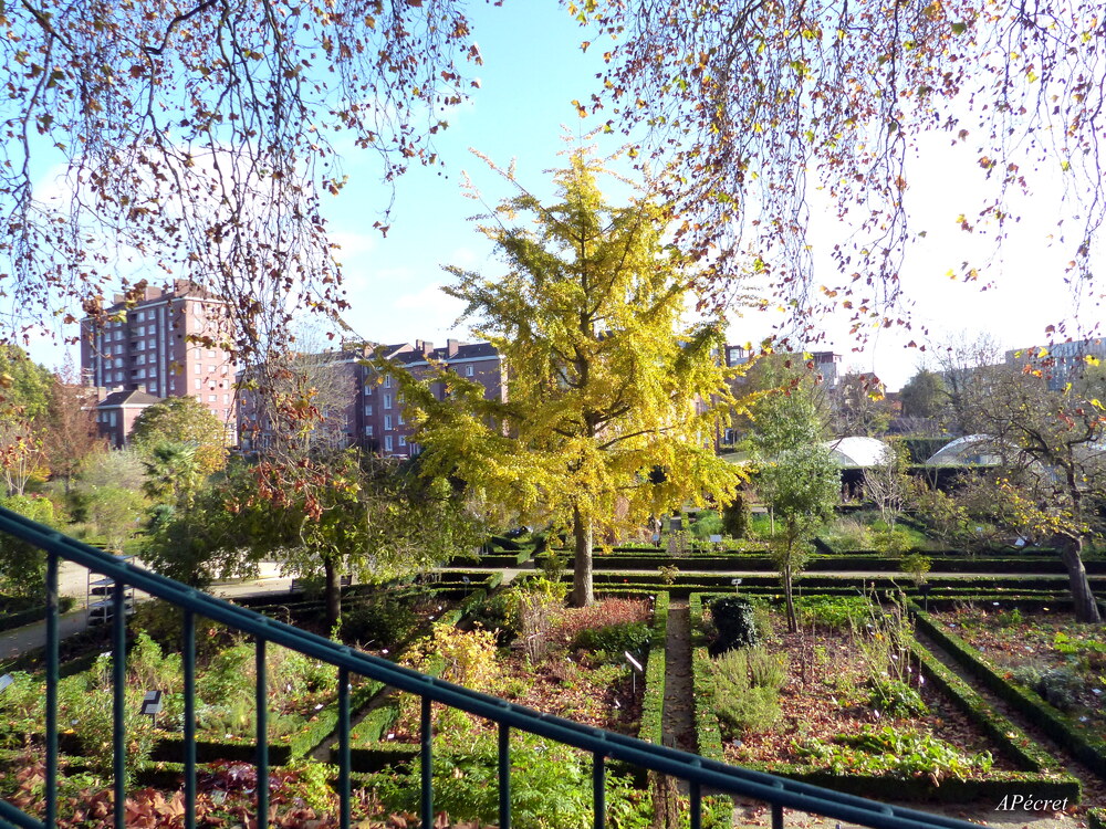 Rapide aller-retour au Jardin des Plantes