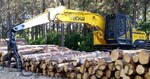YUCHAI HEAVY INDUSTRY:  fort succès des pelles forestières.