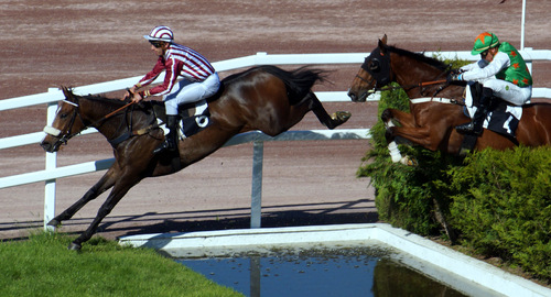 Hippodrome de la Baie Yffiniac - Réunion du 25 juin 2017