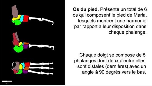 ALIEN PROJECT  -  Les Êtres de Nazca - page 6.