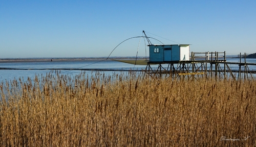 Bord de loire à Corsept.