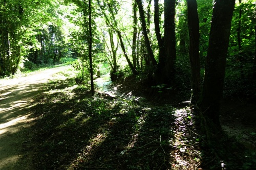 Promenade au bord du lac de Marcenay...