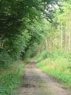 Le chemin de Nova Lira et le parcours de la belle au Bois Normand