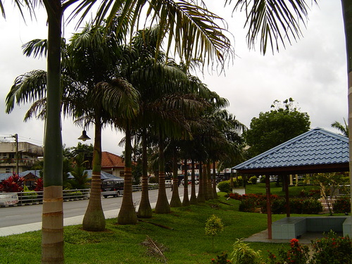 BORNÉO, de Kuching à Batang Ai