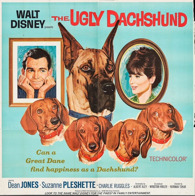 THE UGLY DACHSHUND BOX OFFICE USA 1966