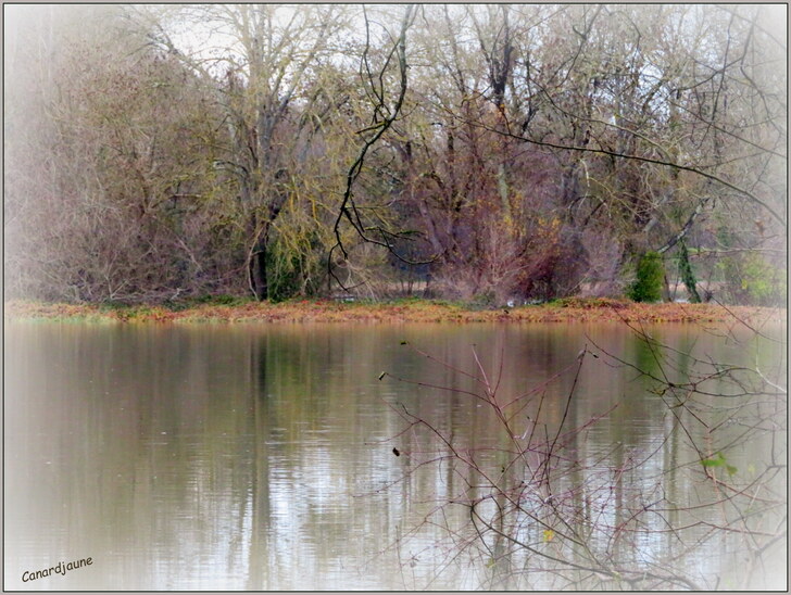 Madame « La Charente » en crue